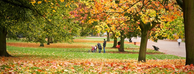 luisa caruso - psychotherapy - regent's park